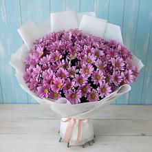 Букет цветов из:  Хризантемы в Колобово