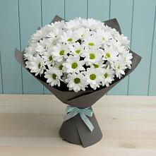 Букет цветов из:  Хризантемы #REPLACE_PRED# Колобово