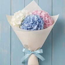 Букет цветов из:  Гортензия в Колобово