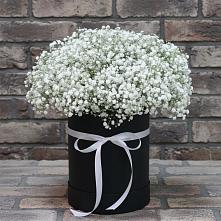 Цветочная композиция из Гипсофила в шляпной коробке в Колобово